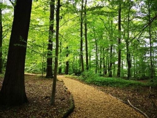 Laufen und Walking Angebot